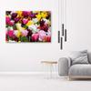 Canvas print, Meadow full of tulips