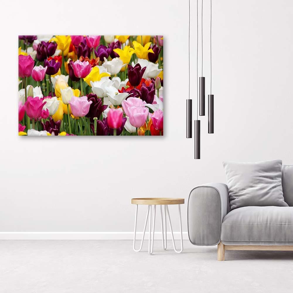 Canvas print, Meadow full of tulips