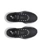 [Under Armour] Women's Velocity Pace Running Shoes 6009108-001 [Shipped from Korea] 100% Authentic