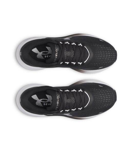 [Under Armour] Women's Velocity Pace Running Shoes 6009108-001 [Shipped from Korea] 100% Authentic