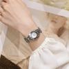 New Fashion Small Square Watch Simple Temperament Women's Light Luxury Steel Band Niche Bracelet Watch for Women