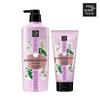 [New Product] Floral Boutique Perfume Shampoo 650ml + Treatment 300ml (jasmine & Muguet)