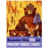 Warning Metal Tin Signs Plaque Prevent WildFires Wall Decoration Vintage Iron Painting Art Posters for Forest Home Cafe Club Bar