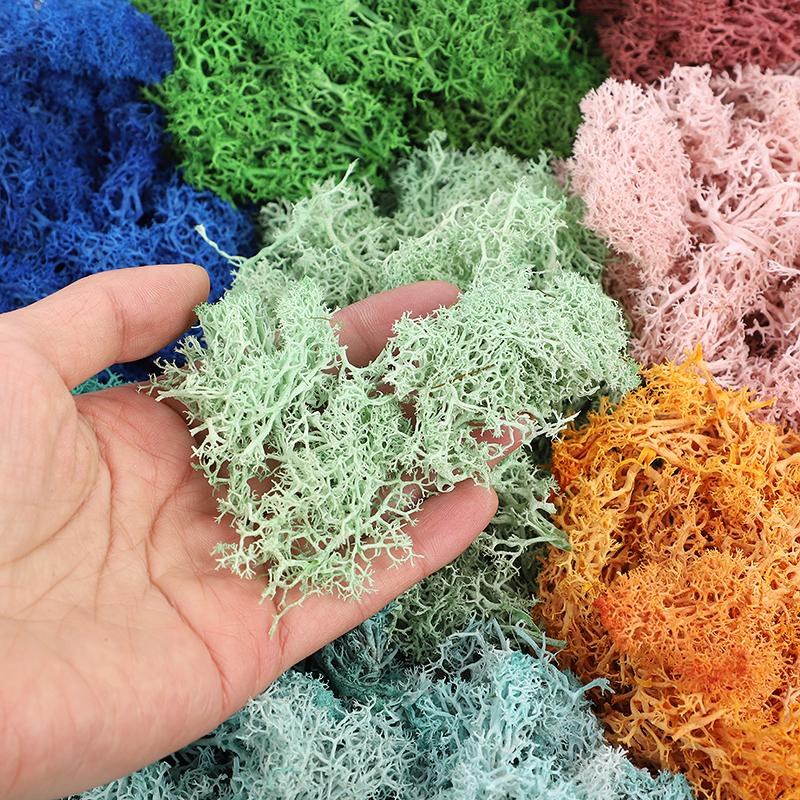 20/40/100g Artificial Green Plants Eternal Life Moss Grass DIY Crafts for Home Garden Room Decoration Mini Landscape Fake Flower