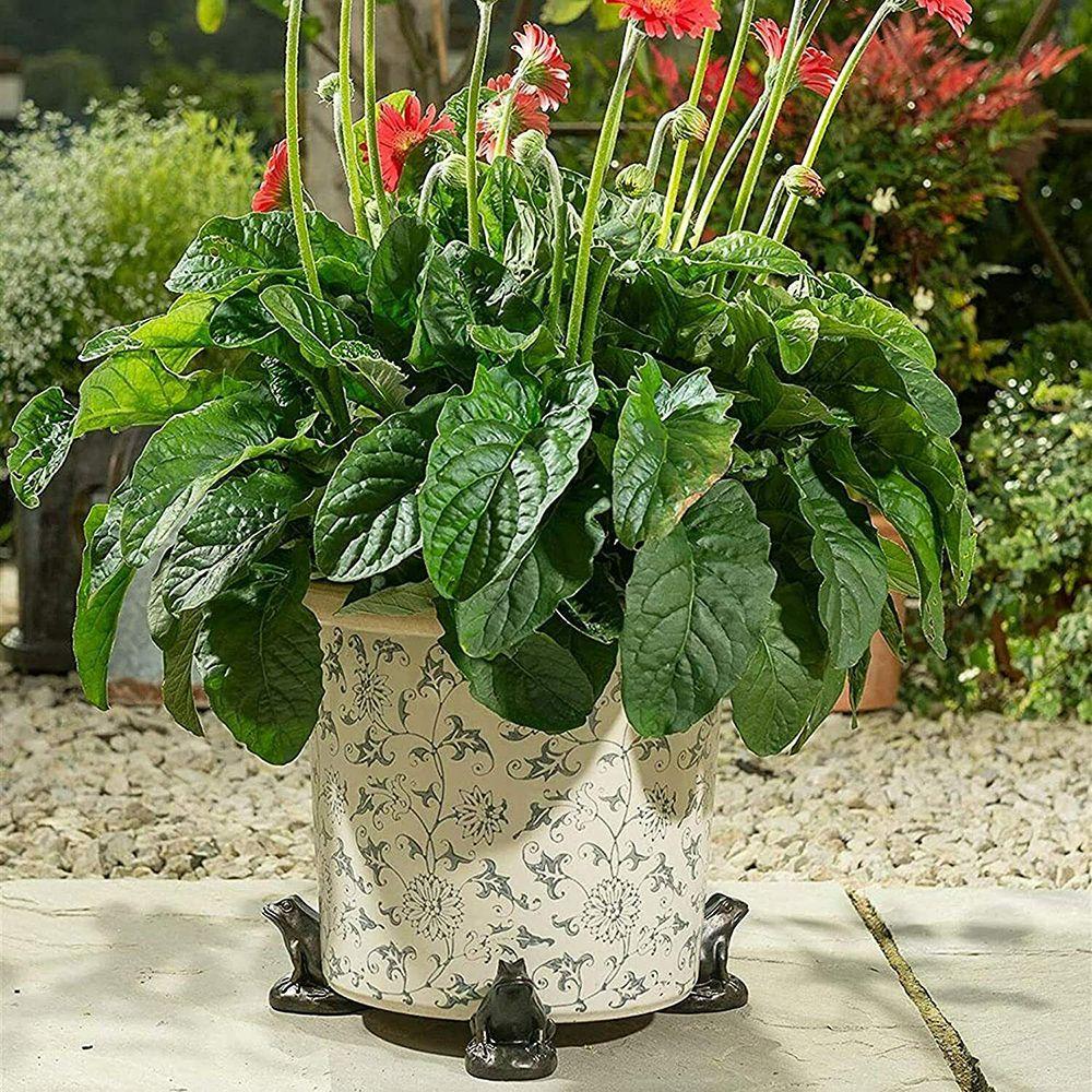 3 шт. Горячий Животное Смола Подставка для Бонсай Подставка для Растений Ножка для Растений Подставка для Цветочного Горшка