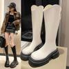 Long Boots Women's 2025 Spring and Autumn New Korean Version Versatile High Boots Rear Zipper Thin Boots But Knee Mid-tube Boots