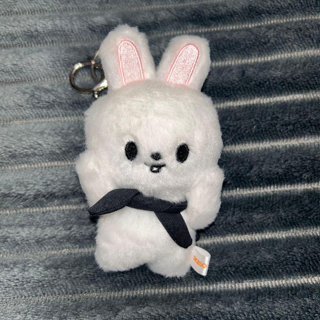 [USED] Reno Leavitt Magnetic Key Ring