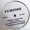 12-дюймовая пластинка LUMIDEE NOTCH Never Leave You Crazy In Love Rem ZZ123 Без лейбла 2003 США Рэп Хип-Хоп R&B Б/у