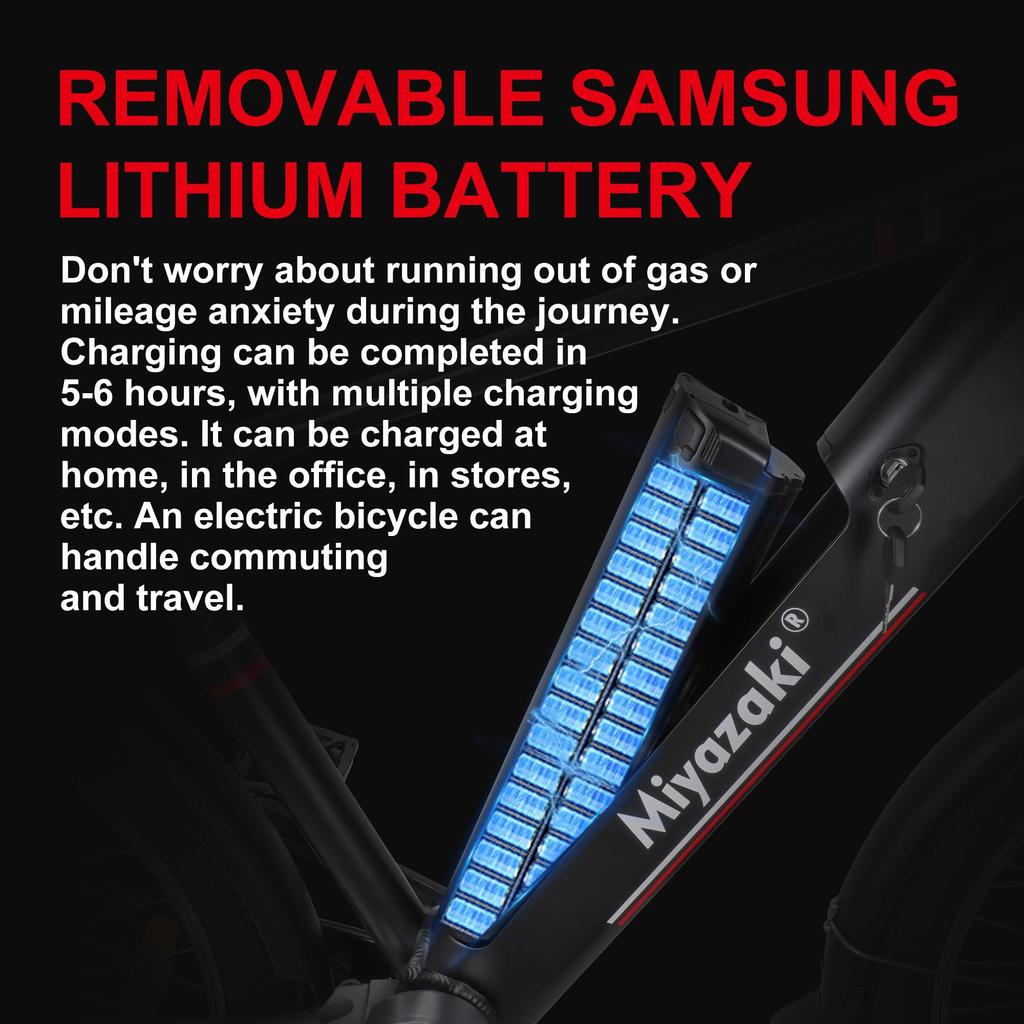 Miyazaki GC1995 Electric Bike 48V 14Ah Samsung Battery 350W Motor 26inch