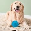 Собака жевательный звуковой мяч игрушка TPR след узор устойчивый к укусам молярный шарик для чистки зубов собаки игрушка для здоровья полости рта кукла