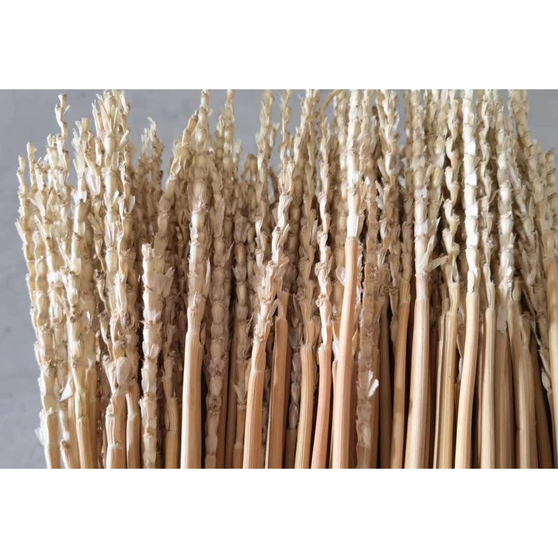 Eco-Friendly Wheat & Barley Straw Raw Material
