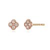 Florpul Earrings_252300025