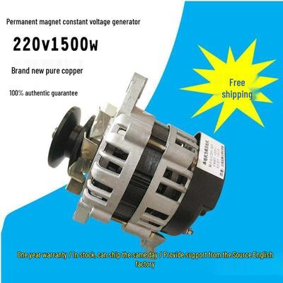 220 В 1500 Вт Бесщеточный высокочастотный бытовой осветительный генератор переменного тока с обмоткой из чистой меди