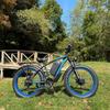 Electric bicycle PHILODO H8, 3000W motor, 48V 26Ah battery, top speed 56 km/h, cruising range 100km, 26x4.0 inch tires