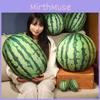 Очаровательная 3D плюшевая игрушка Арбуз Мягкая подушка для декора детской комнаты и подарков