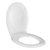 AWD INTERIOR 1998 Palmera soft-close toilet seat, duroplast, black with palm trees