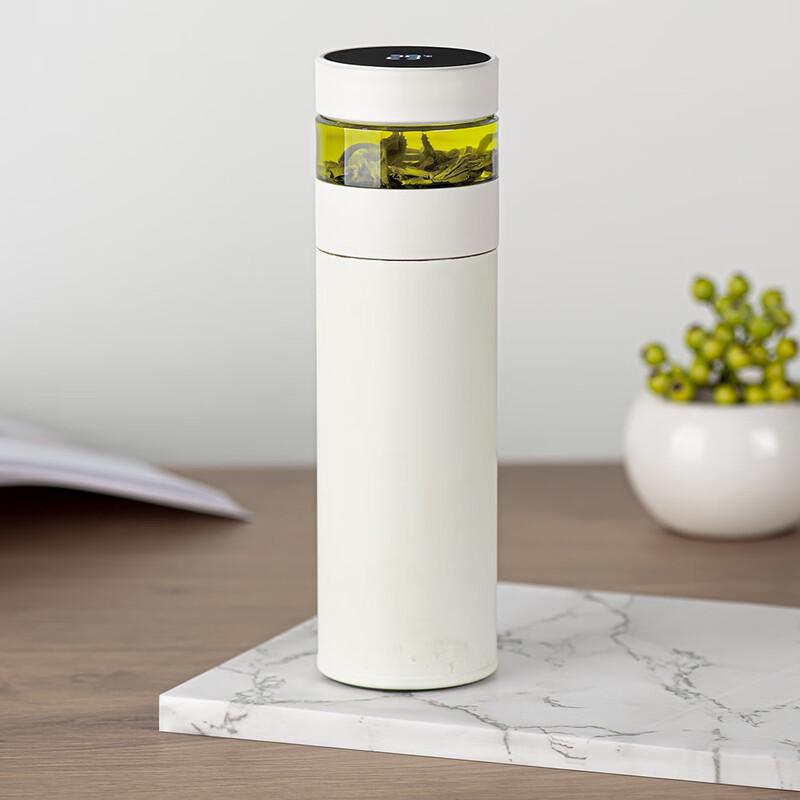 MRSIKEY Smart Tea Infuser Thermos Bottle