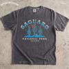 Vintage Saguaro National Park Shirt, Retro Arizona Desert Cactus Tee, Western Boho Travel Apparel, Wanderlust Hiker Gift, 70s Camper Top