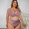 Plus Size Women's Bra Set Sexy Lace Gathered Underwear Pure Desire See-Through Briefs