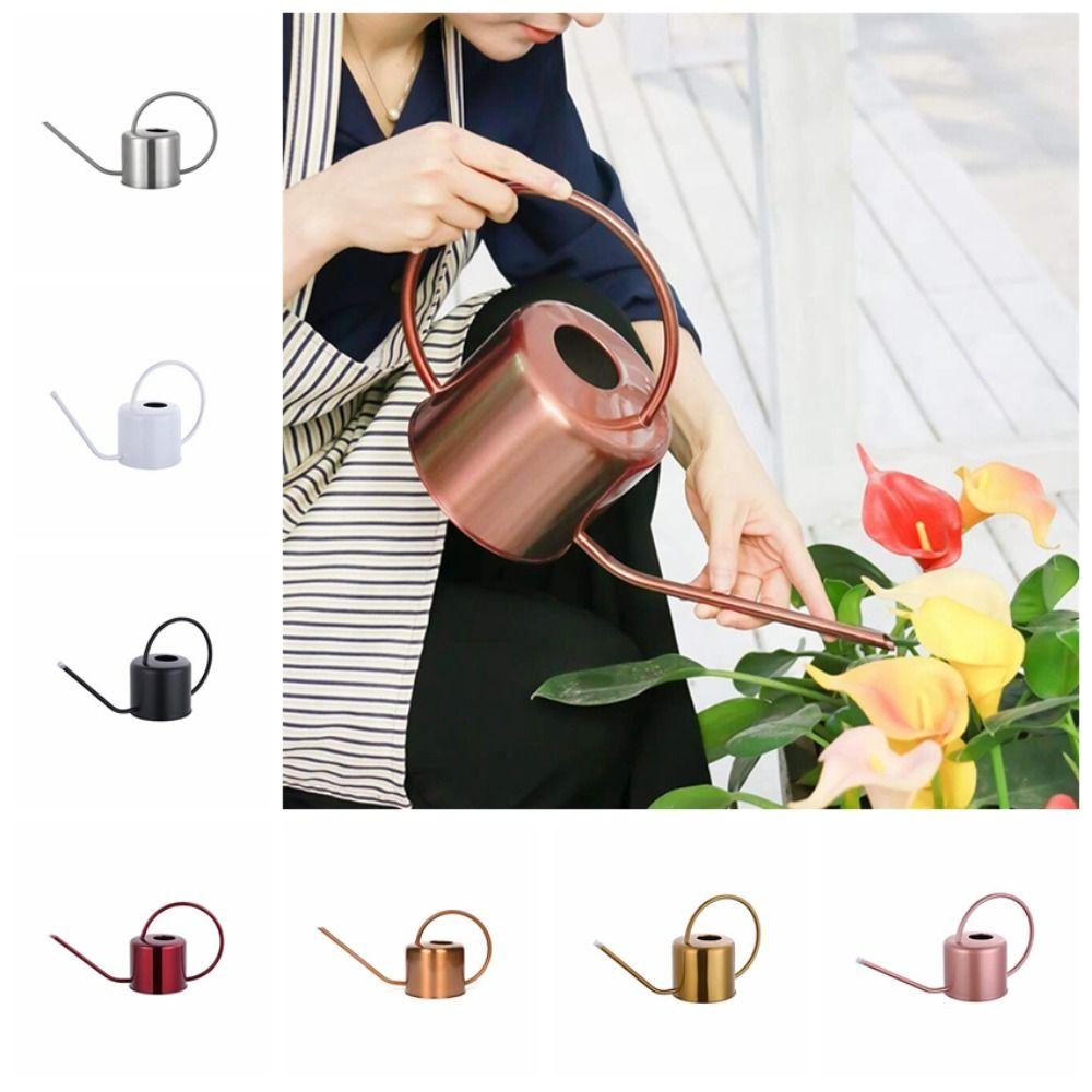Rustproof Leakproof Long Spout Watering Can Stainless Steel Watering Pot Watering Can Indoor