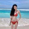 Source 1011 seaside vacation swimsuit female sweet girl striped bikini lace-up hot spring swimsuit