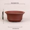 Zisha Ceramic Succulent Bonsai Pot - Acorus Calamus Flower Vase for Office Desk Decor
