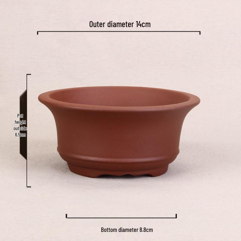 Zisha Ceramic Succulent Bonsai Pot - Acorus Calamus Flower Vase for Office Desk Decor