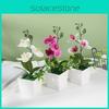 Pot Square Phalaenopsis Potted Artificial Flower Wedding Decoration Bonsai Gift
