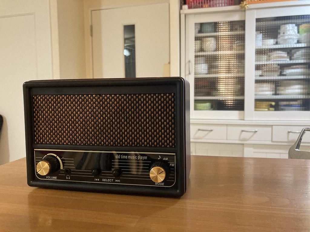 FESCO Shoka Radio DX100 Music Player with Radio AM/FM SRDX-001