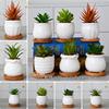 Facecolor Мини Керамический Кактус Кашпо Керамический Набор для Суккулентных Цветов Керамические Суккулентные Маленькие Горшки для Растений для Мини Подходит для Мини Бамбукового Блюдца