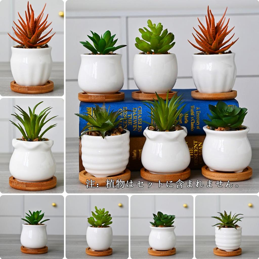 Facecolor Мини Керамический Кактус Кашпо Керамический Набор для Суккулентных Цветов Керамические Суккулентные Маленькие Горшки для Растений для Мини Подходит для Мини Бамбукового Блюдца