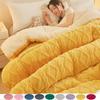 2026 New Velvet Autumn Winter Warm Sleeping Blanket Soft Comfortable Flannel Fleece Blankets for Bed Cozy Fluffy Warmth Blanket