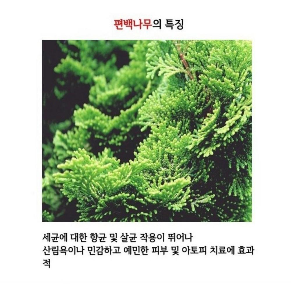 [Odd Lab Bio] 100% натуральное масло кипариса 25 мл + бесплатный подарок: 10 упаковок коллагеновых масок-эссенций, 25 мл, 4 шт.