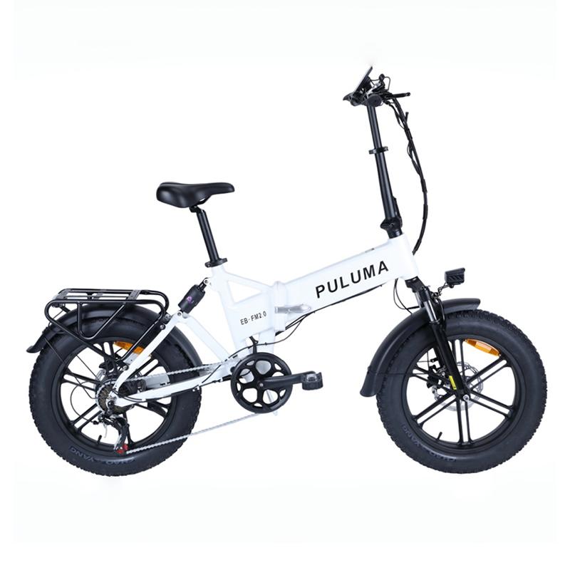 PULUMA FM2.0 Folding Electric Bike 48V15AH Removable Lithium Battery 20x4.0 Fat All Terrain Tire 7 Speed Hydraulic Brake 250W Adult Ebike