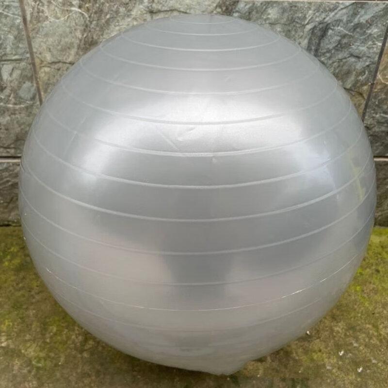 WEZHO Yoga and Pilates Ball