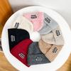 Cloth Label Letter Knitted Hat Women's Autumn and Winter Warm Ear Protection Cycling Cold Hat Couple Versatile Loose Wool Hat