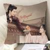 Чжан Линхэ Бай Лу Ван Синъюэ Чжоу Цзюньвэй Двусторонняя наволочка ТВ История дворца Куньнин Декор для машины Наволочка для подушки