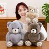New Love Bear Doll Cute Teddy Bear Doll Birthday Children's Day Gift for Girlfriend