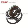 TESP Электромагнитный статор зажигания для двигателя мотоцикла YFM550 (2007-2014)