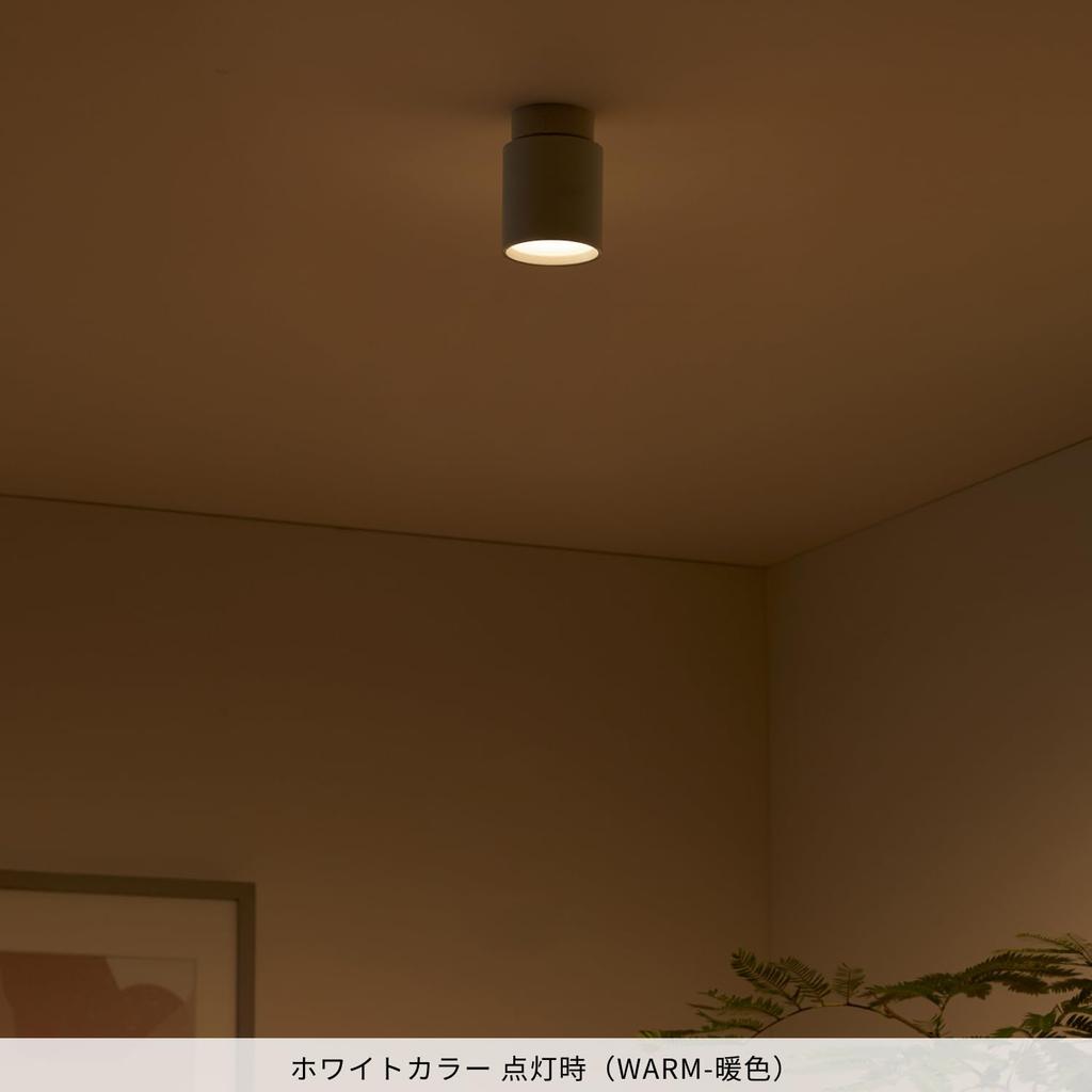 Artwork Studio Grid Ceiling Downlight, 40,000-Hour Lifetime, Color Temperature Adjustable (WarmWhite), White, AW-0552E-WH [LED Bulb Built-in]