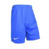 Nike Мужские синие брюки для футбола, умеренно прямые AR4505-480