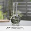 HARIO Cool Carafe 360ml transparent and perfect for chilling or as a wine decanter with ice Perfect as a gift or N, capacity, gray, sake, soda,