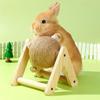 Rabbit Toys Grinding Claw Ball Sisal Hemp Wear and Bite Resistant Stable Anti Overturning Little Pet Puzzle Toy Rabbit