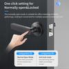 Q50 Bluetooth tuya Door Knobs Fingerprint Lock Handle Door Entrance Passage RFID CardLock With Key Password Lock IP65 waterproof