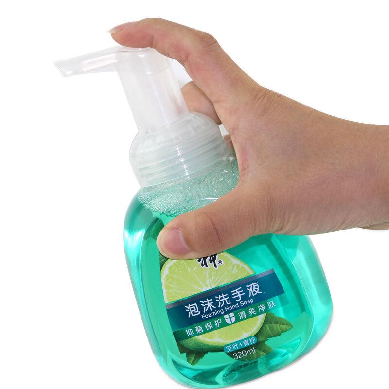 Liushen Foaming Hand Wash - Wormwood & Lime