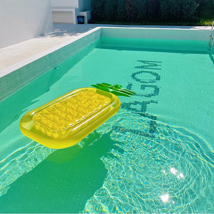 Inflatable Pineapple Cactus Watermelon Pizza Rainbow Pool Float Set