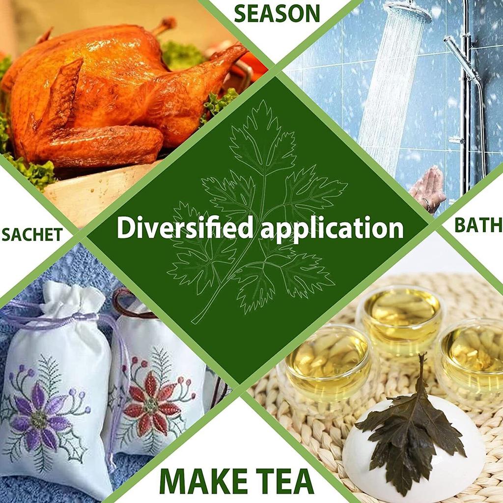 Чай из полыни TEARELAE 2023, сушеные листья, травы без ГМО, 114 г