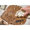 Large 3-Piece Dinosaur Cookie Cutter Set for Baking and Confectionery