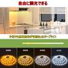 10m LED Strip Light [New for 2023] Warm WhiteCool WhiteDaylight, 3-Pin SMD2835, High Color Rendering, 3000k-6500k Color Temperature, High Brightness,