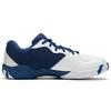 Li Ning 2 Текстиль, Синтетическая кожа Удобная амортизация Нескользящая Устойчивая к истиранию Низкие Бадминтонные кроссовки AYTS016-7
